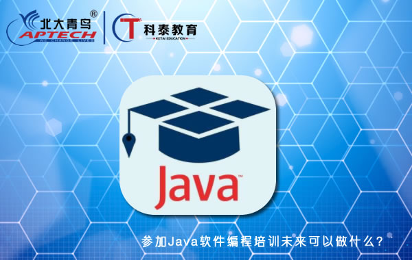 参加Java软件编程培训未来可以做什么?