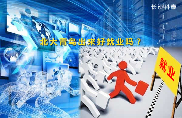 在北大青鸟学电脑，毕业出来好就业吗？