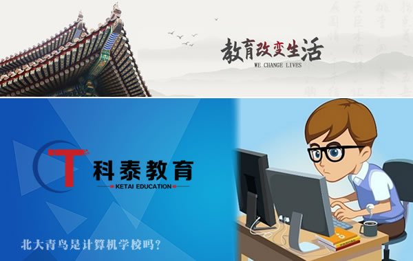 北大青鸟是计算机学校吗？